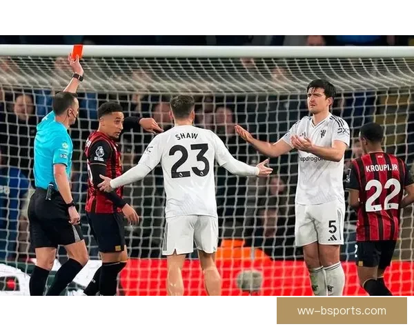 欧战禁赛风波升级罗德里因热刺赛后言论遭英足总追加处罚引发热议